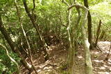 但馬 和田城(和田山町)の写真