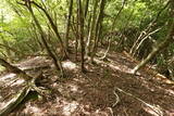 但馬 和田城(和田山町)の写真
