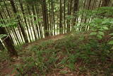 但馬 夜久野城の写真