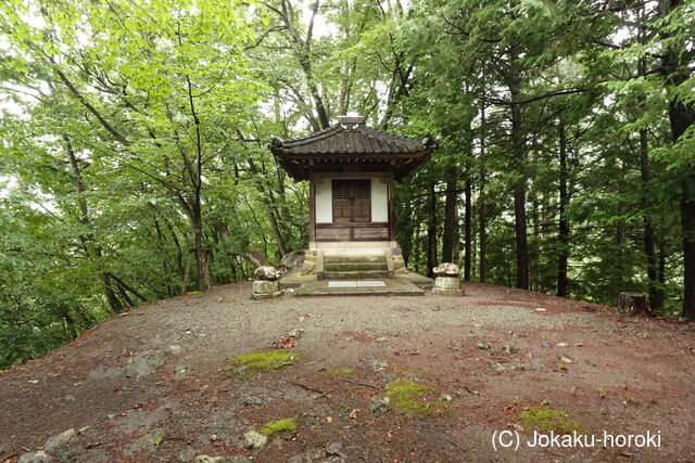但馬 八鹿愛宕山城の写真