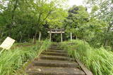 但馬 八鹿愛宕山城の写真
