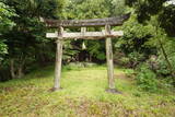 但馬 八鹿愛宕山城の写真