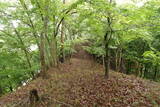 但馬 八鹿愛宕山城の写真