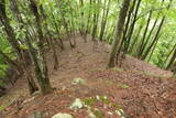 但馬 八鹿愛宕山城の写真