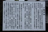 丹波 穴太城の写真