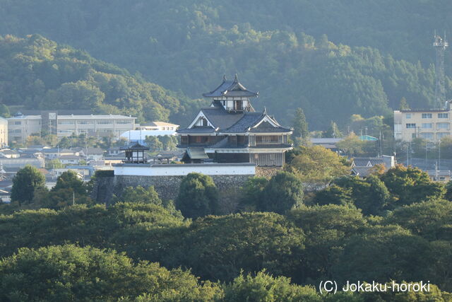 丹波 福知山城の写真