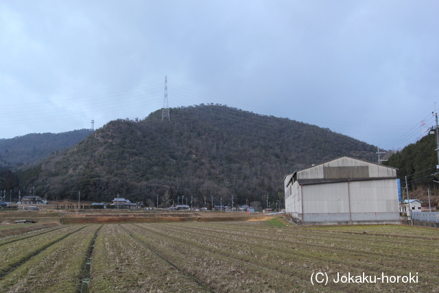 丹波 高山城の写真