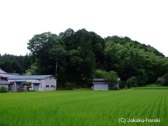 丹波 般若寺城の写真