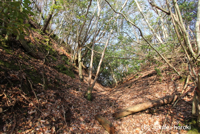 丹波 橋爪城の写真