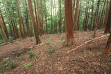 丹波 愛宕山城(福知山市土師)の写真