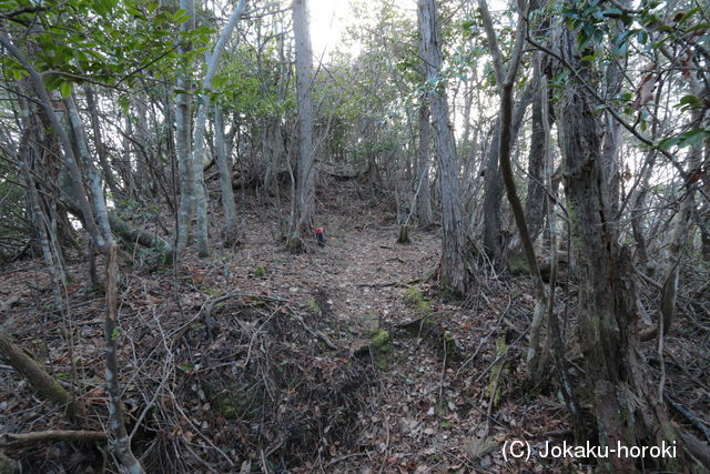 丹波 東奥見長城(仮)の写真