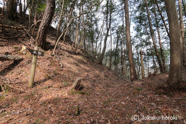 丹波 東山城の写真