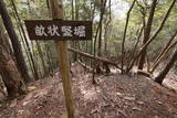 丹波 東山城の写真