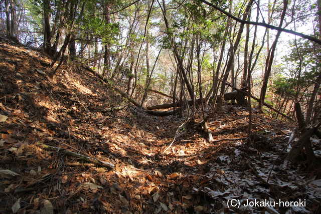 丹波 法貴山城の写真