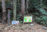 丹波 法貴山城の写真