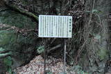 丹波 法貴山城の写真