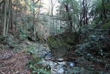 丹波 法貴山城の写真
