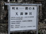丹波 板井城の写真