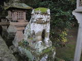 丹波 板井城の写真