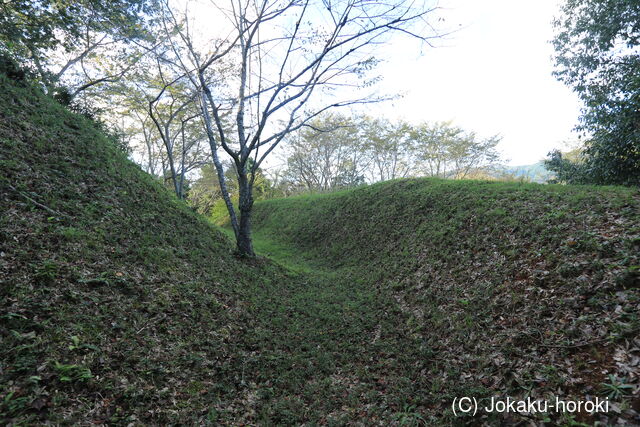 丹波 猪崎城の写真