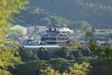 丹波 猪崎城の写真