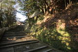 丹波 八幡山城(柏原町)の写真