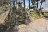 丹波 亀山城の写真