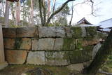 丹波 亀山城の写真