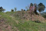 丹波 上林城の写真