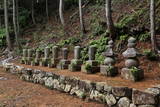 丹波 神尾山城の写真