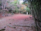 丹波 金山城の写真