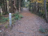 丹波 金山城の写真