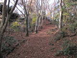 丹波 金山城の写真