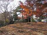 丹波 金山城の写真