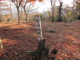 丹波 金山城の写真