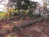 丹波 金山城の写真