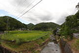 丹波 桐村城の写真