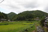 丹波 桐村城の写真