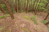 丹波 桐村城の写真