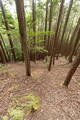 丹波 桐村城の写真
