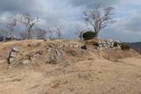 丹波 黒井城の写真