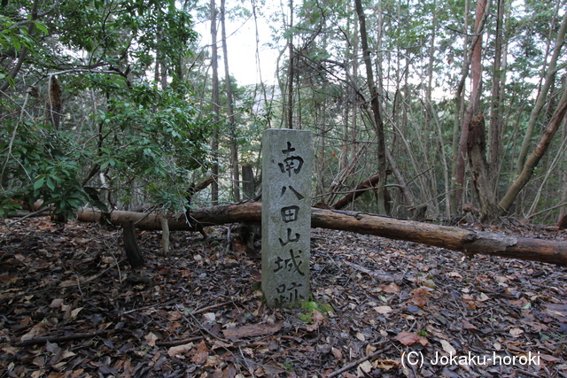 丹波 南八田城の写真