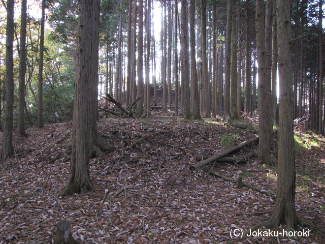 丹波 籾井城の写真