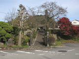 丹波 籾井城の写真