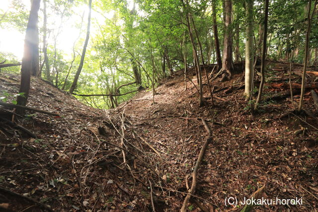 丹波 梨子ヶ岡城の写真