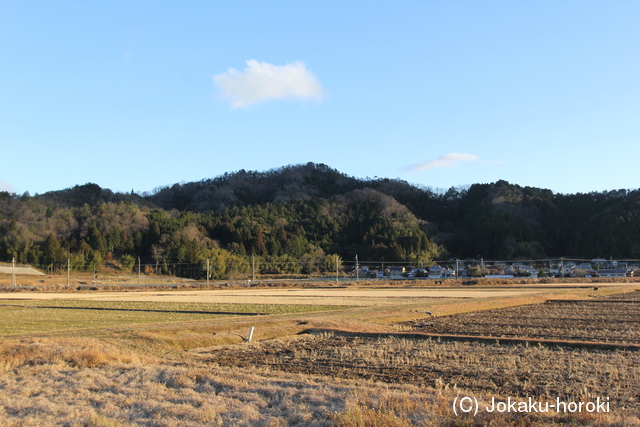 丹波 蜷川城の写真