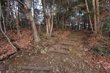 丹波 西田城の写真