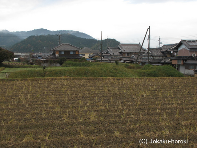 丹波 野村城の写真