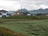 丹波 野村城の写真