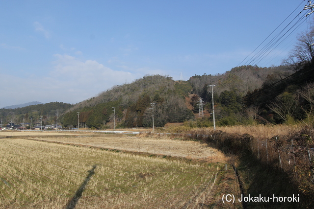 丹波 越方城の写真